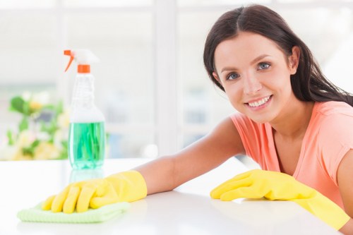 Professional upholstery cleaning in a modern Nine Elms living room