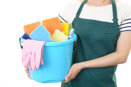 Professional carpet cleaning in a Nine Elms living room