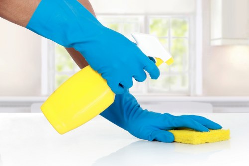 Transparent carpet cleaning rate explanation for a Nine Elms home