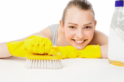 Steam carpet cleaning equipment in a modern Nine Elms home