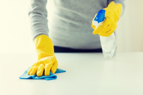 Professional mattress hygiene treatment in London