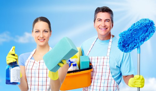 Professional cleaning for pet stain odour removal in Nine Elms apartment interior